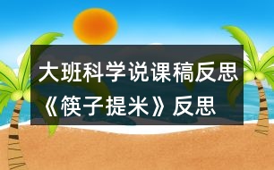 大班科學(xué)說(shuō)課稿反思《筷子提米》反思