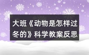 大班《動物是怎樣過冬的》科學教案反思