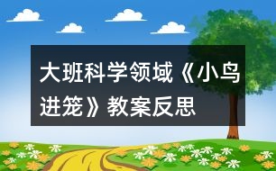 大班科學領(lǐng)域《小鳥進籠》教案反思