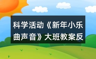 科學(xué)活動(dòng)《新年小樂(lè)曲聲音》大班教案反思