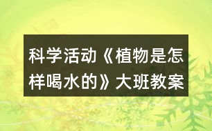 科學(xué)活動《植物是怎樣喝水的》大班教案