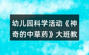 幼兒園科學(xué)活動(dòng)《神奇的中草藥》大班教案反思