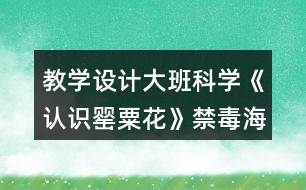 教學(xué)設(shè)計(jì)大班科學(xué)《認(rèn)識罌粟花》（禁毒海報）反思