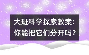 大班科學(xué)探索教案:你能把它們分開嗎？