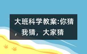 大班科學(xué)教案:你猜，我猜，大家猜