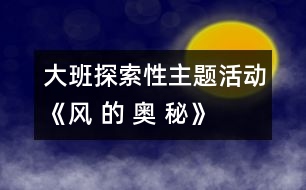 大班探索性主題活動：《風(fēng) 的 奧 秘》