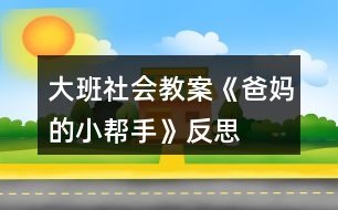 大班社會教案《爸媽的小幫手》反思