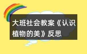 大班社會教案《認識植物的美》反思