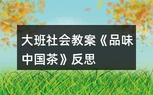 大班社會(huì)教案《品味中國(guó)茶》反思