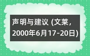 聲明與建議 (文萊，2000年6月17-20日)