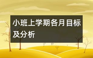 小班上學(xué)期各月目標及分析