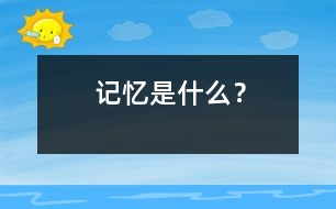 記憶是什么？