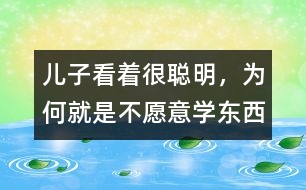 兒子看著很聰明，為何就是不愿意學(xué)東西