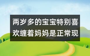 兩歲多的寶寶特別喜歡纏著媽媽是正常現(xiàn)象