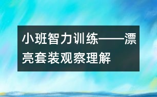小班智力訓(xùn)練――漂亮套裝（觀察、理解、判斷、語言）
