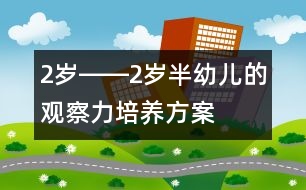 2歲――2歲半幼兒的觀察力培養(yǎng)方案