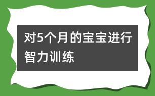 對5個月的寶寶進行智力訓練