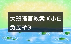 大班語(yǔ)言教案《小白兔過(guò)橋》