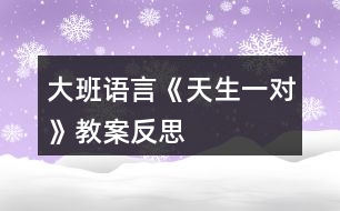 大班語(yǔ)言《天生一對(duì)》教案反思