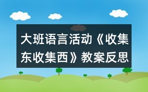 大班語(yǔ)言活動(dòng)《收集東收集西》教案反思