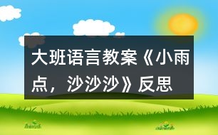 大班語言教案《小雨點，沙沙沙》反思