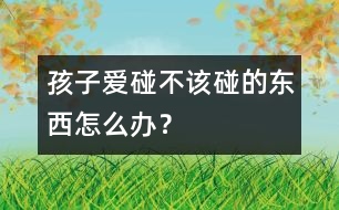 孩子愛碰不該碰的東西怎么辦？