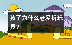 孩子為什么老愛拆玩具？