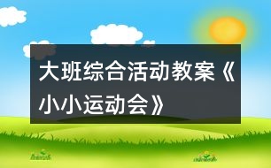 大班綜合活動(dòng)教案《小小運(yùn)動(dòng)會》