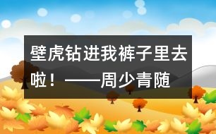“壁虎”鉆進我褲子里去啦！――周少青隨筆兩篇