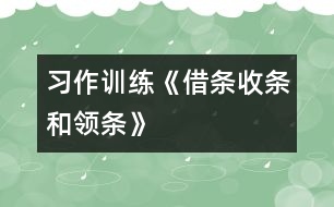 （習(xí)作訓(xùn)練）《借條、收條和領(lǐng)條》