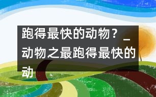 跑得最快的動物？_動物之最：跑得最快的動物？