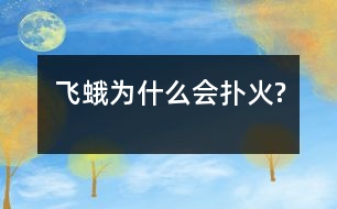 飛蛾為什么會(huì)撲“火”?