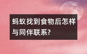 螞蟻找到食物后怎樣與同伴聯(lián)系?