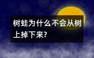 樹蛙為什么不會(huì)從樹上掉下來(lái)?