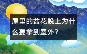 屋里的盆花晚上為什么要拿到室外？