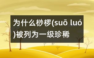 為什么桫欏(suō luó)被列為一級珍稀植物？