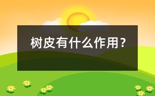 樹皮有什么作用？