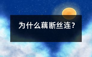 為什么藕斷絲連？