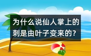 為什么說仙人掌上的刺是由葉子變來的？