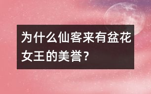 為什么仙客來有“盆花女王”的美譽(yù)？