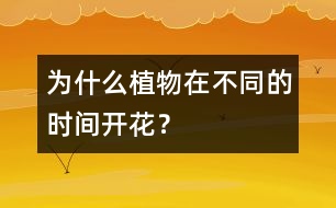 為什么植物在不同的時(shí)間開花？