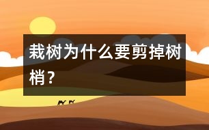 栽樹為什么要剪掉樹梢？