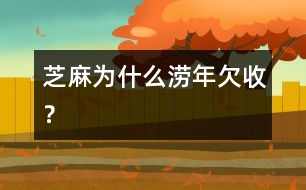 芝麻為什么澇年欠收？