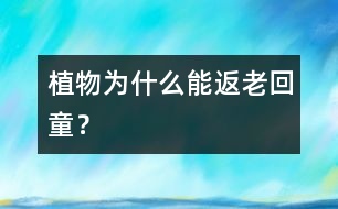 植物為什么能“返老回童”？