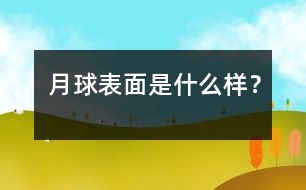月球表面是什么樣？