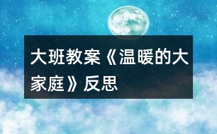 大班教案《溫暖的大家庭》反思