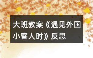 大班教案《遇見外國小客人時(shí)》反思