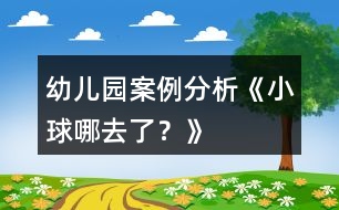 幼兒園案例分析《小球哪去了？》