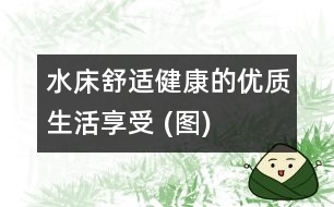 水床：舒適、健康的優(yōu)質(zhì)生活享受 (圖)