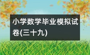 小學數(shù)學畢業(yè)模擬試卷(三十九)